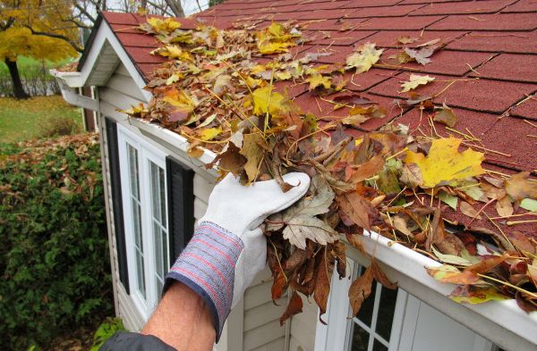 Rain Gutter Cleaning Service in State College