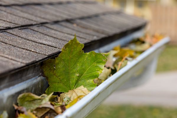Commercial Downspout Cleaning in State College