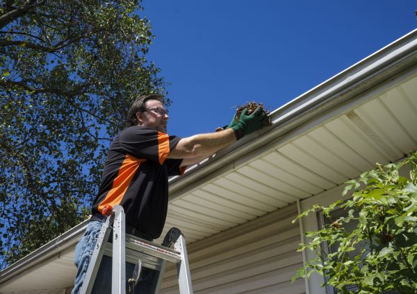 Cost of Eavestrough Clearing in State College