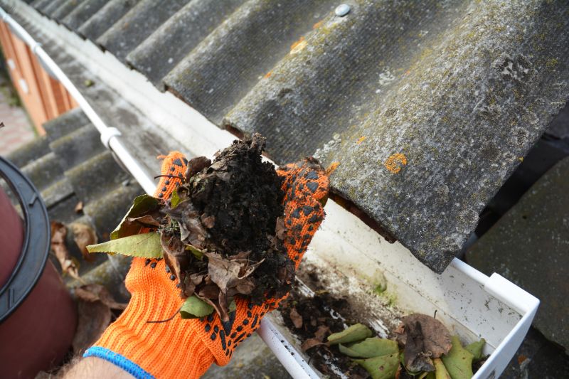 Clogged Gutter Clearing
