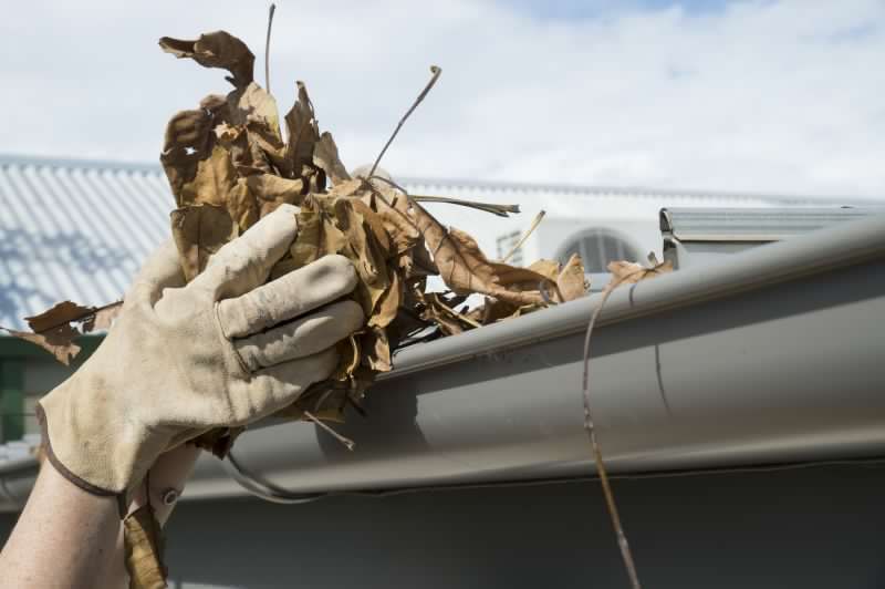 Gutter Leaves Removal